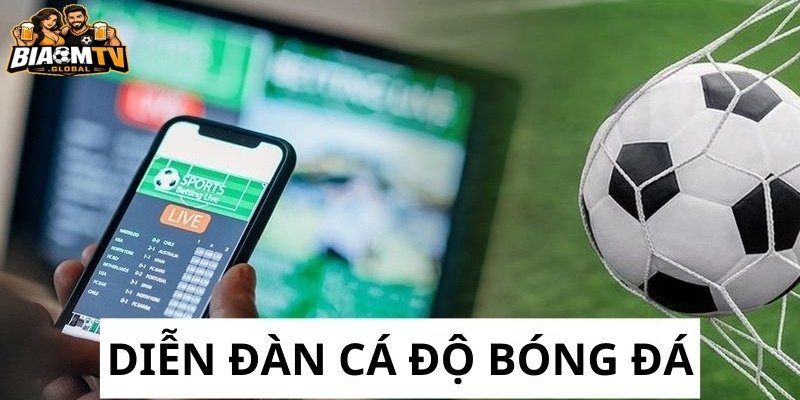 Diễn đàn cá độ bóng đá là gì? 